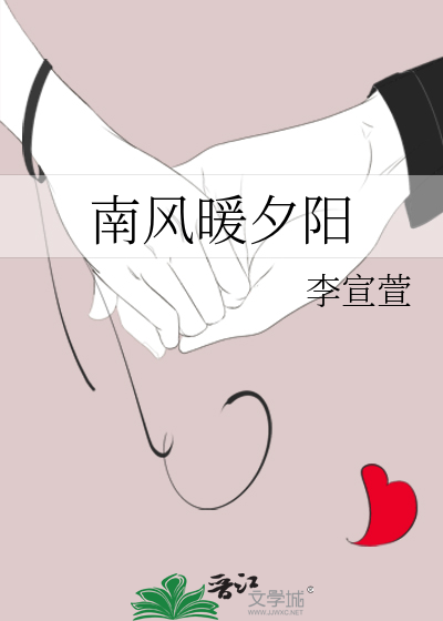 南风暖阳小说